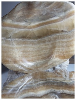 Coquille marbre3.jpg