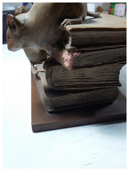Souris1.jpg
